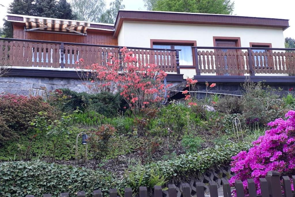 Bungalow Bluehende Oase Sebnitz Ngoại thất bức ảnh